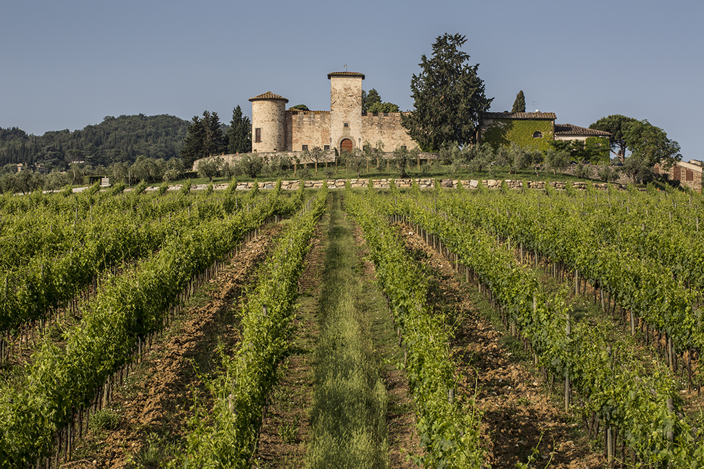 Weinerzeuger: Castello di Gabbiano - Mercatale Val di Pesa (Firenze) / Italien