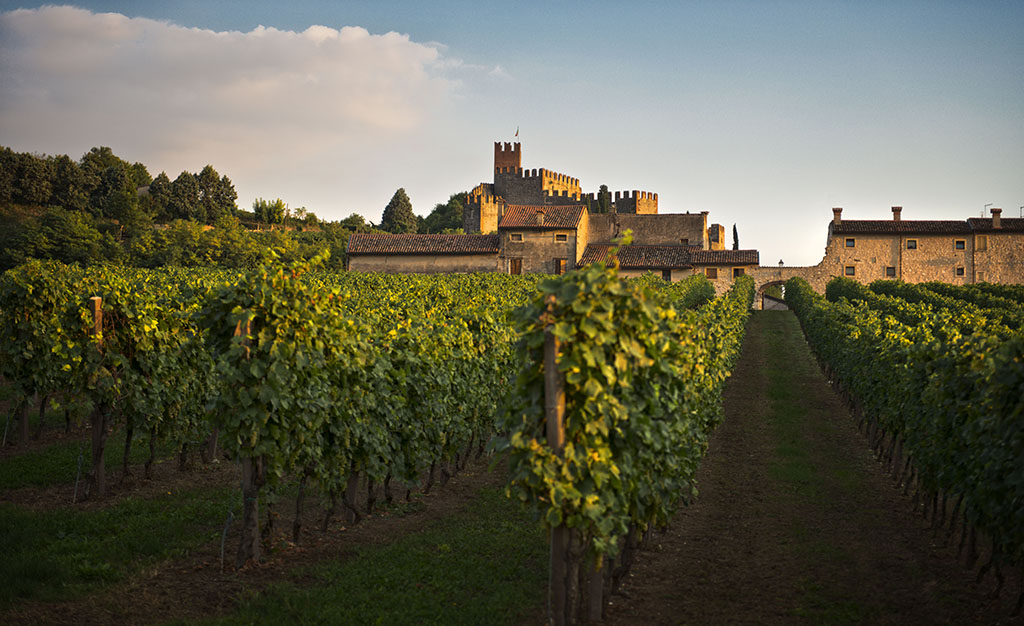 Weinerzeuger: Casa Vinicola Bennati - Cazzano di Tramigna (VR) / Italien