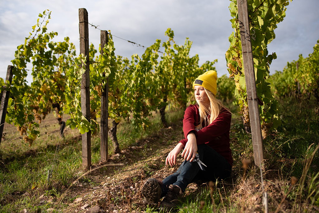 Weinerzeuger: Weingut Hamm VDP - Oestrich-Winkel / Deutschland