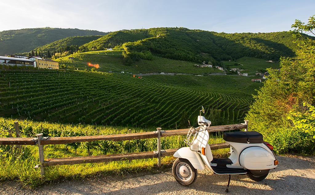 Weinerzeuger: Vineyards v8+ - Loncon di Annone Veneto (VE) / Italien