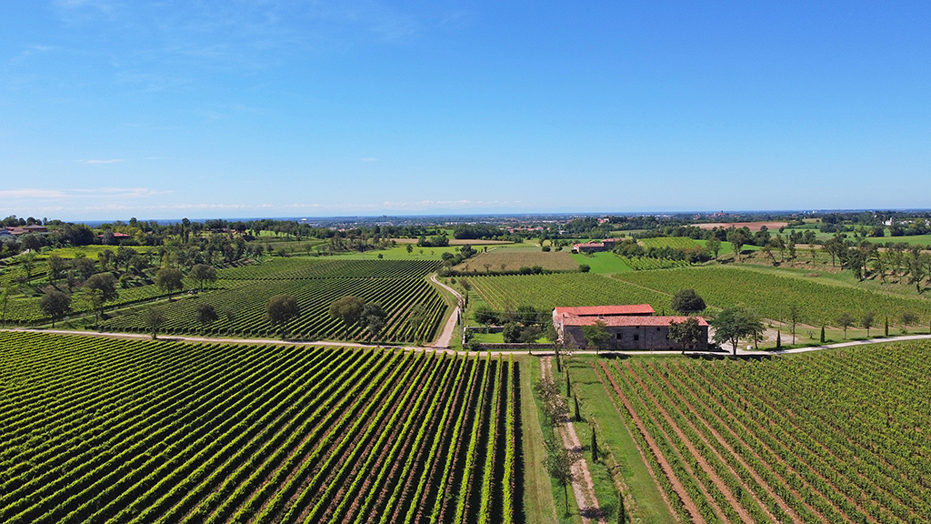 Weinerzeuger: Cantine Scolari - Puegnago del Garda / Italien