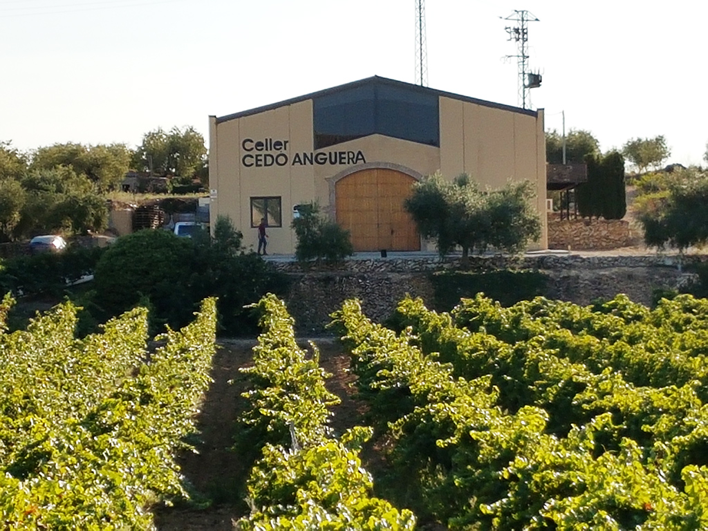 Weinerzeuger: Terra de Falanis - Felanitx (Mallorca) / Spanien