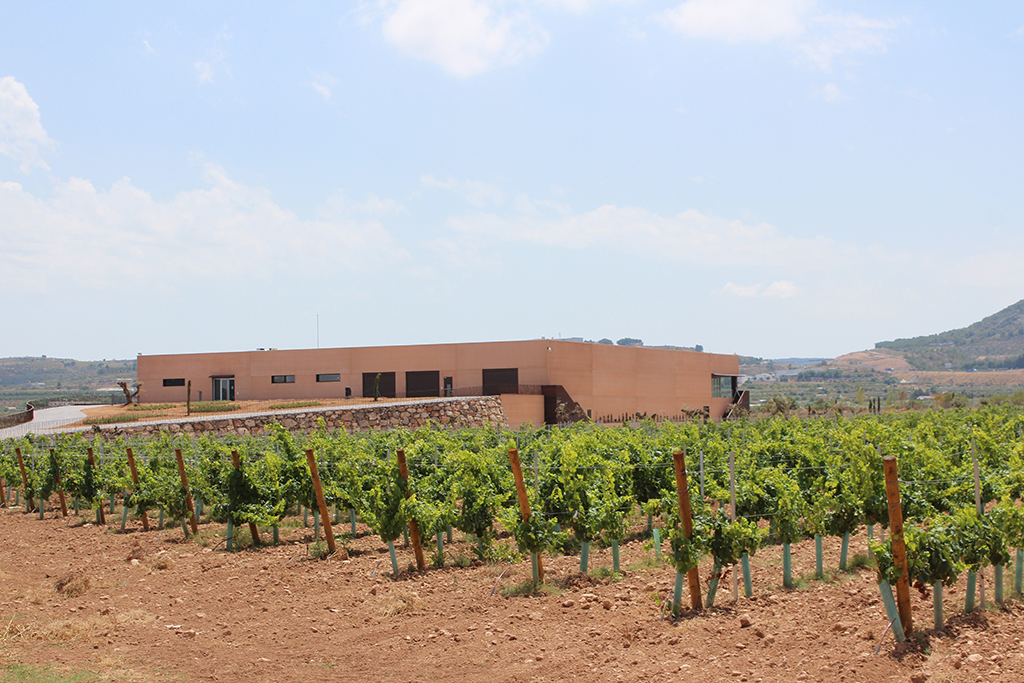 Weinerzeuger: Wines N' Roses Viticultores - La Font de la Figuera Valencia / Spanien