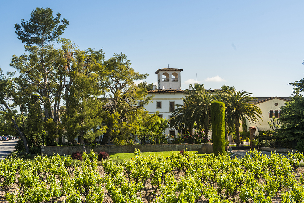 Weinerzeuger: Vallformosa - Vilobí del Penedès (Barcelona) / Spanien