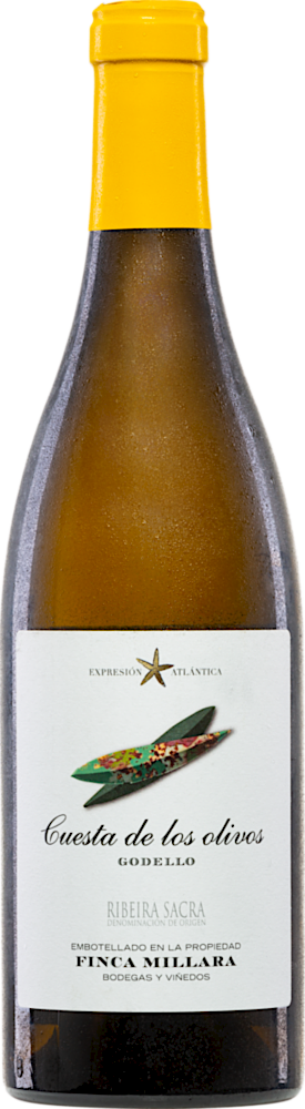 Cuesta de los olivos Godello 2021 - Finca Míllara - Weißwein - Spanien