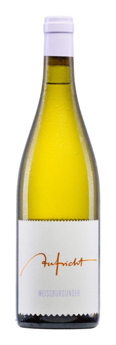 Aufricht Weißburgunder 2024 - Weingut Aufricht - Weißwein - Deutschland
