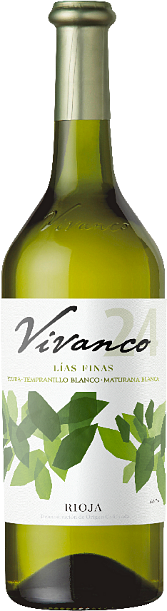 Vivanco Blanco 2024 - Vivanco - Weißwein - Spanien