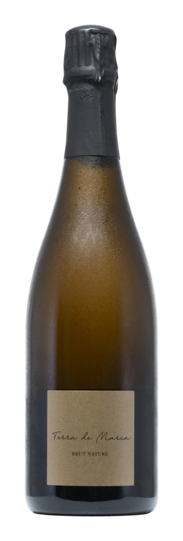 Cava Terra de Marca Brut Nature Vintage 2014 2014 - Celler Terra de Marca - Cava - Spanien