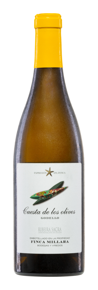 Cuesta de los olivos Godello 2021 - Finca Míllara - Weißwein - Spanien