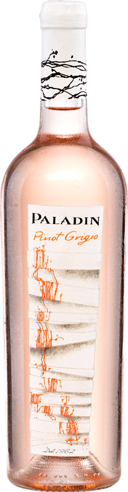 Paladin Pinot Grigio Rosé 2024 - Paladin - Roséwein - Italien