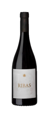 Ribas Negre 2022 - Bodegas Ribas - Rotwein - Spanien