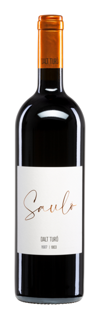 Dalt Turo Saulo Negre  - Dalt Turó - Rotwein - Spanien