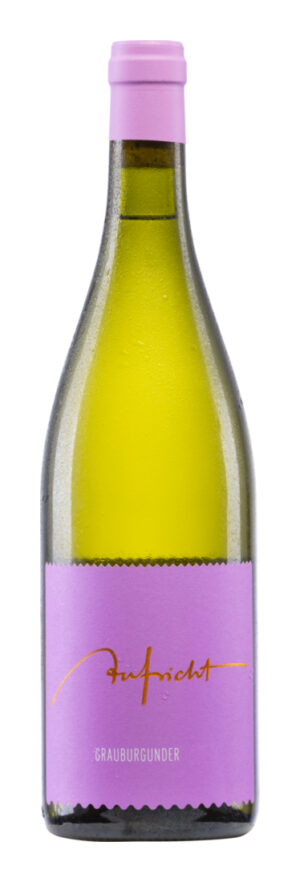 Aufricht Grauburgunder 2024 - Weingut Aufricht - Weißwein - Deutschland