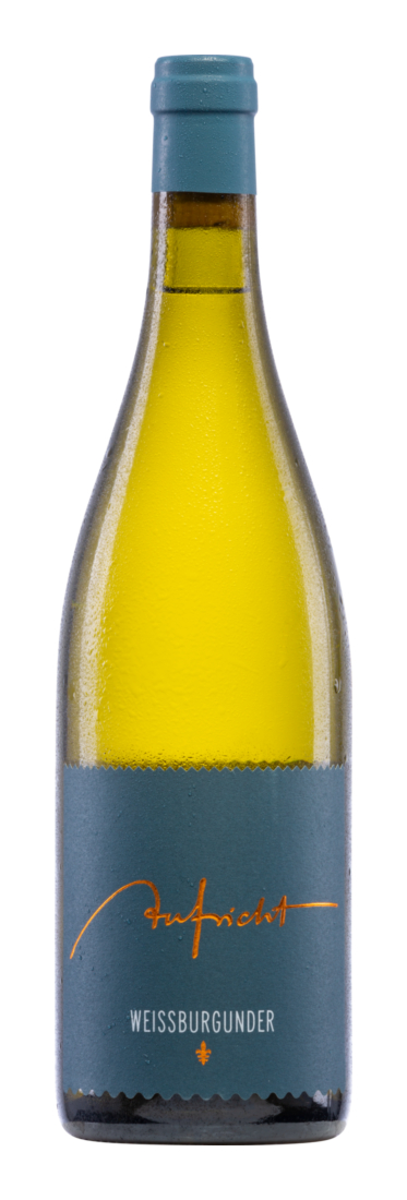 Aufricht Weißburgunder Von Alten Reben 2023 - Weingut Aufricht - Weißwein - Deutschland