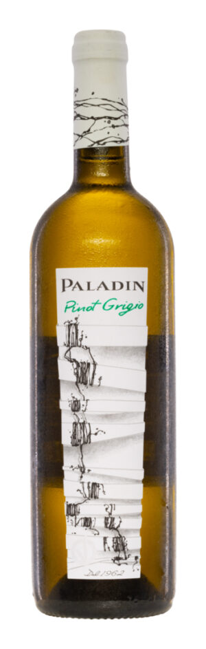 Paladin Pinot Grigio 2023 - Paladin - Weißwein - Italien