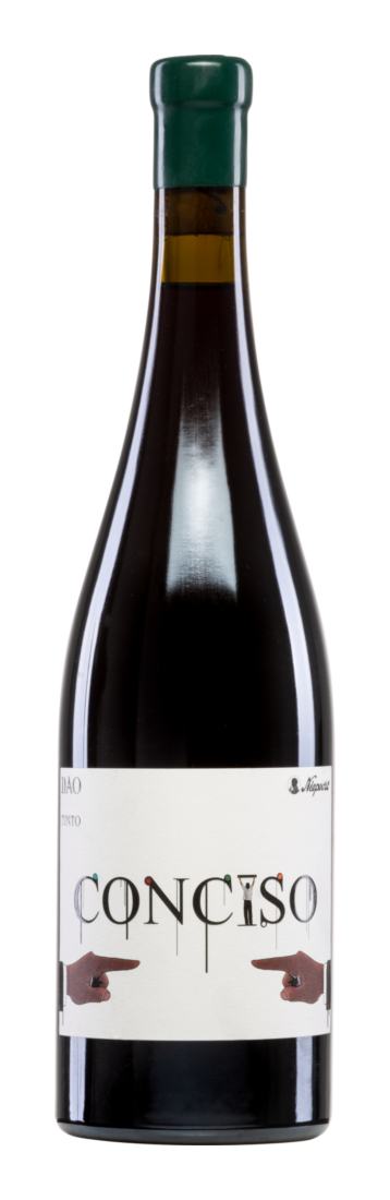 Conciso Tinto 2019 - Quinta da Lomba - Rotwein - Portugal