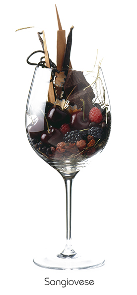 Weinaromen-Foto Sangiovese (80 x 40 cm) - Geschenke & Co. - Bücher & Accessoires