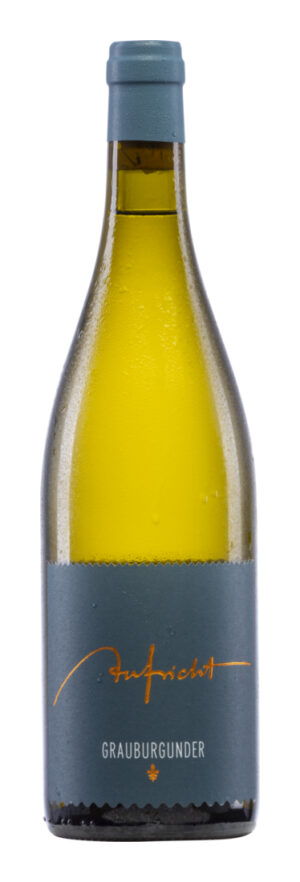 Aufricht Grauburgunder Von Alten Reben 2023 - Weingut Aufricht - Weißwein - Deutschland