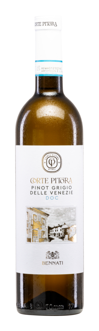 Corte Pitora Pinot Grigio 2024 - Casa Vinicola Bennati - Weißwein - Italien