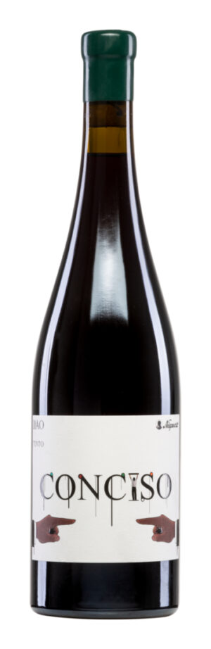 Conciso Tinto 2019 - Quinta da Lomba - Rotwein - Portugal