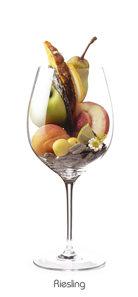 Weinaromen-Foto Riesling (80 x 40 cm) - Geschenke & Co. - Bücher & Accessoires