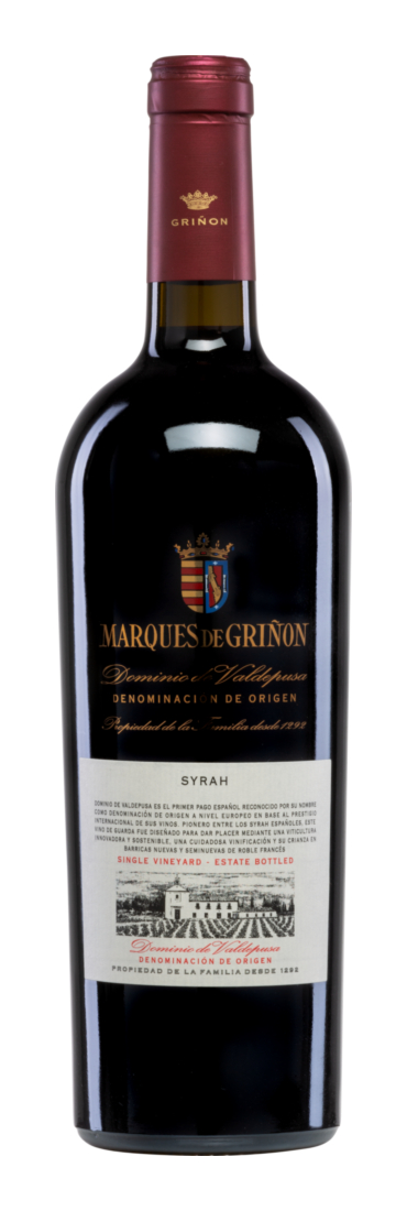 Dominio de Valdepusa Syrah 2021 - Marqués de Griñón Family Estates - Rotwein - Spanien