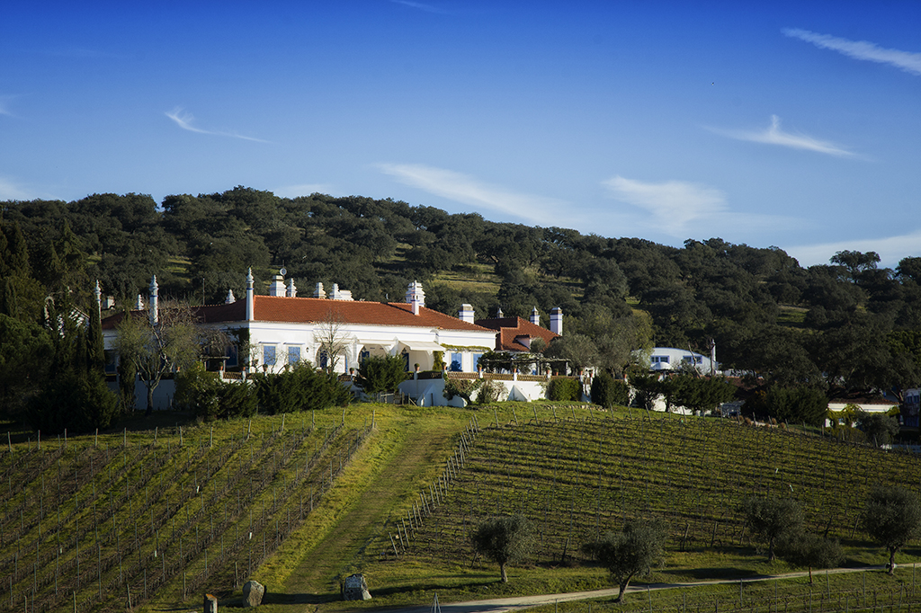 Weinerzeuger: Ravasqueira Vinhos - Lisboa / Portugal