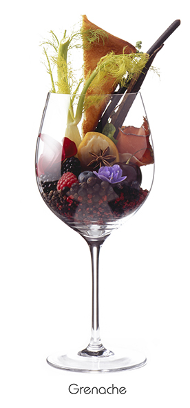 Weinaromen-Foto Garnacha (80 x 40 cm) - Geschenke & Co. - Bücher & Accessoires