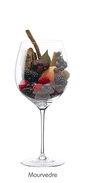 Weinaromen-Foto Monastrell (80 x 40 cm) - Geschenke & Co. - Bücher & Accessoires