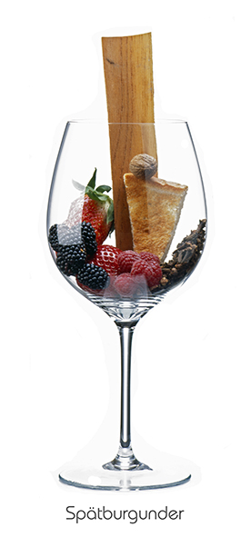 Weinaromen-Foto Spätburgunder (80 x 40 cm) - Geschenke & Co. - Bücher & Accessoires