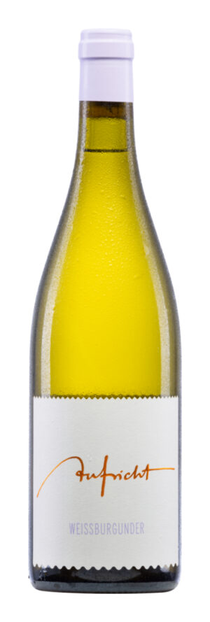 Aufricht Weißburgunder 2025 - Weingut Aufricht - Weißwein - Deutschland