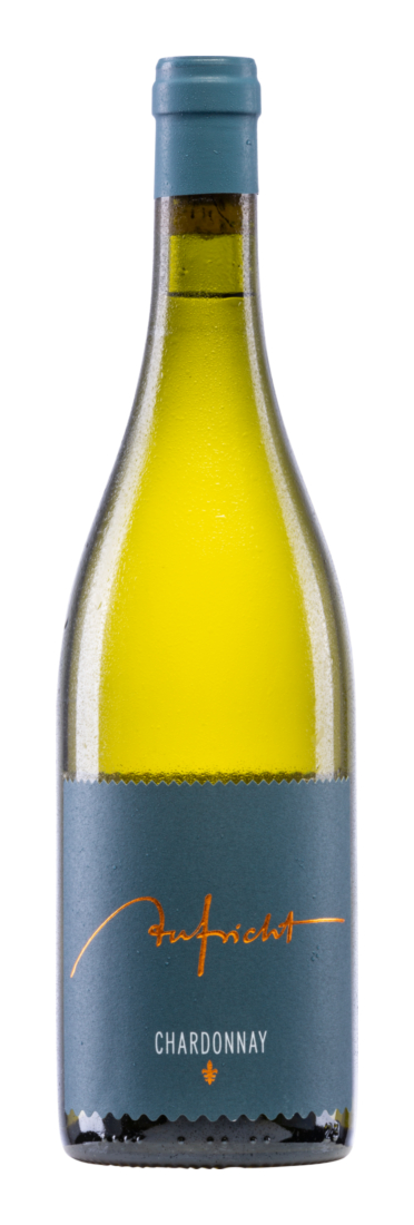 Aufricht Chardonnay Von Alten Reben 2024 - Weingut Aufricht - Weißwein - Deutschland