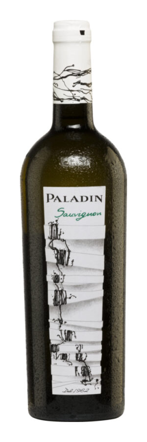 Paladin Sauvignon Blanc 2024 - Paladin - Weißwein - Italien
