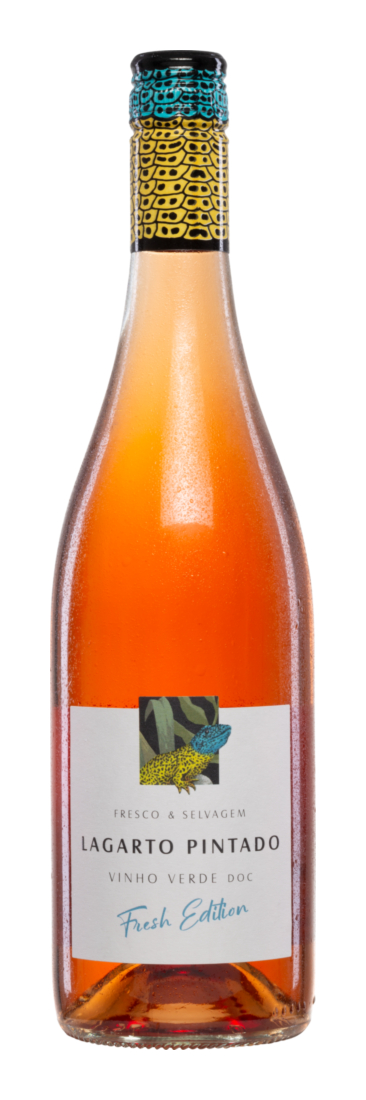 Lagarto Pintado Fresh Edition Vinho Verde Rosé 2025 - Casa de Vila Nova - Roséwein - Portugal