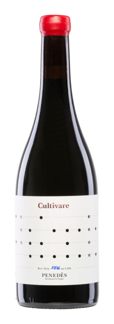 Cultivare Sumoll Samsó 2021 - Cultivare - Vallformosa - Rotwein - Spanien