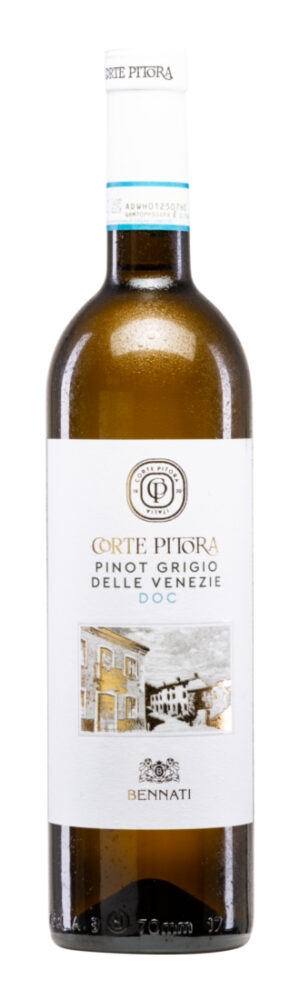 Corte Pitora Pinot Grigio 2025 - Casa Vinicola Bennati - Weißwein - Italien