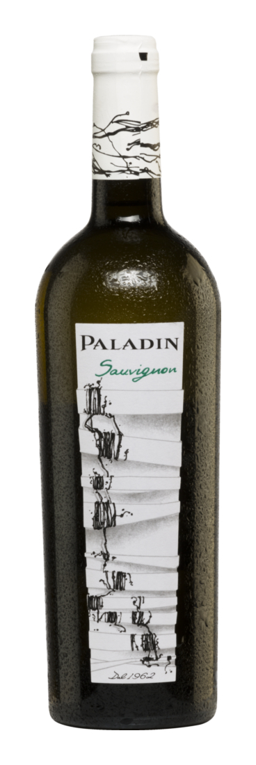 Paladin Sauvignon Blanc 2024 - Paladin - Weißwein - Italien