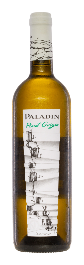Paladin Pinot Grigio 2024 - Paladin - Weißwein - Italien